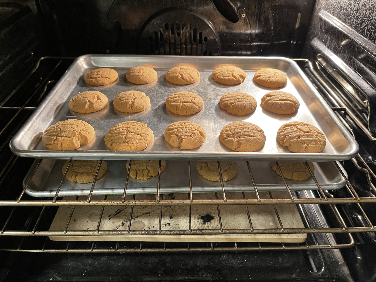 A baking sheet of oatmeal chocolate chip cookies baking in an oven with warm light, cookies slightly puffed and beginning to turn golden