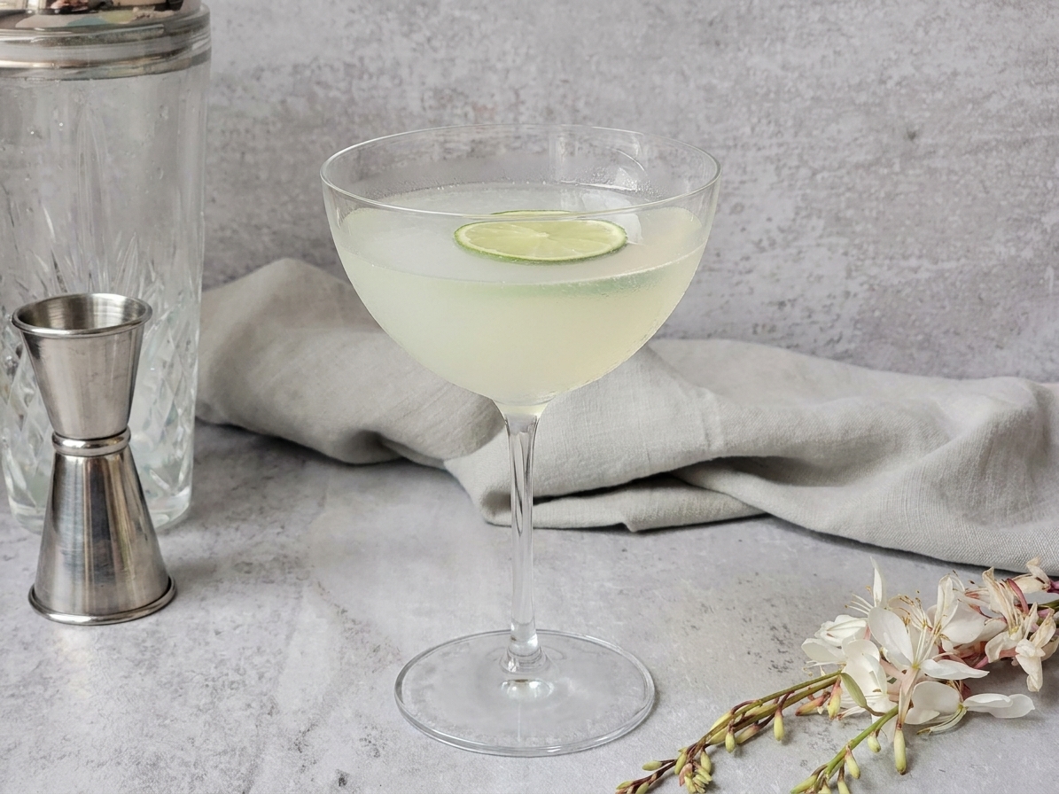A chilled vodka gimlet in a coupe glass with a thin lime wheel garnish on a light stone kitchen counter