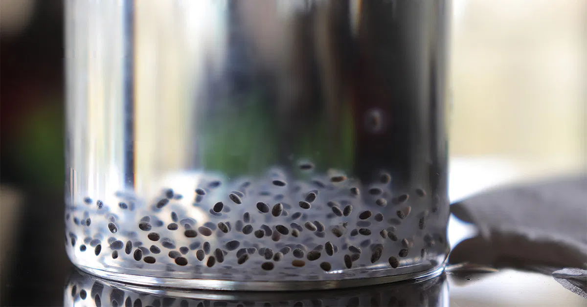 A clear glass jar of chia seed water with suspended chia seeds and a lemon wedge on a bright kitchen counter