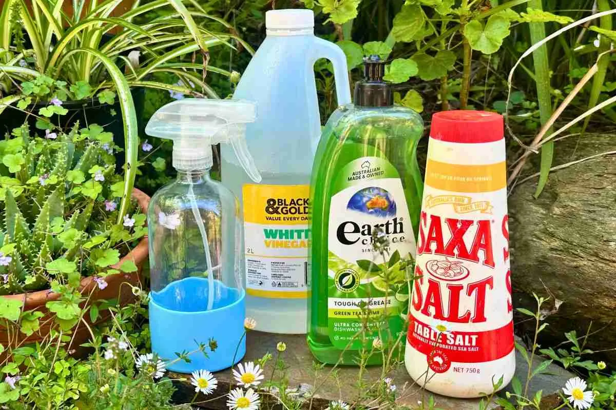 A clear spray bottle filled with homemade vinegar weed killer sitting on a sunny kitchen counter next to white vinegar, a small bowl of salt, and a bottle of dish soap