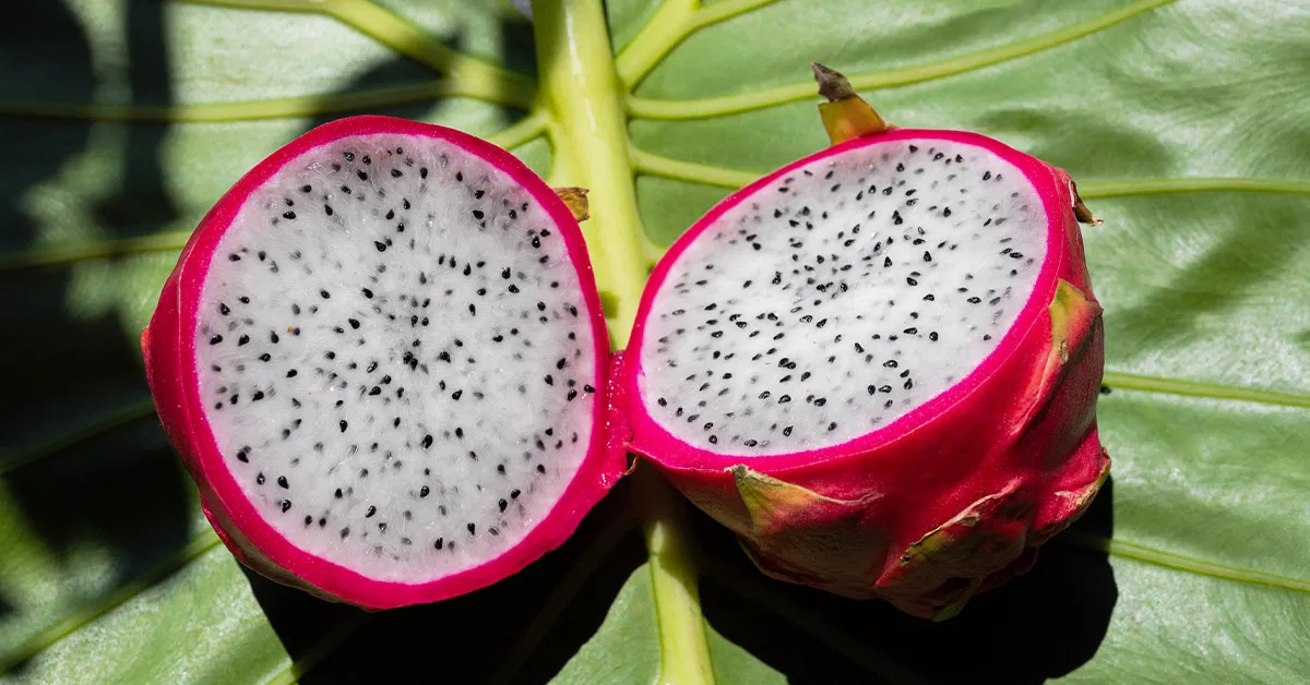 A fresh dragon fruit cut in half on a cutting board with a spoon scooping out the speckled flesh in a bright home kitchen