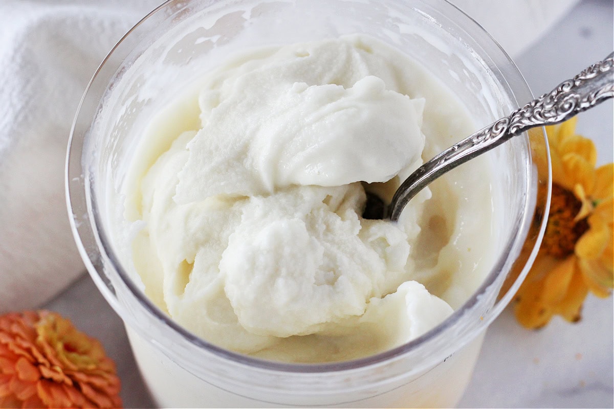 Ninja Creami Vanilla Bean Ice Cream