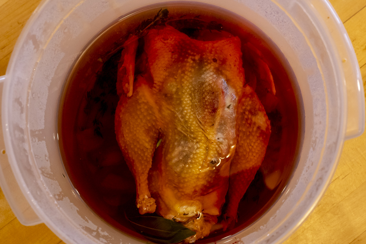 A glass bowl of saltwater brine on a kitchen counter with pheasant breasts submerged and a small bowl of salt nearby
