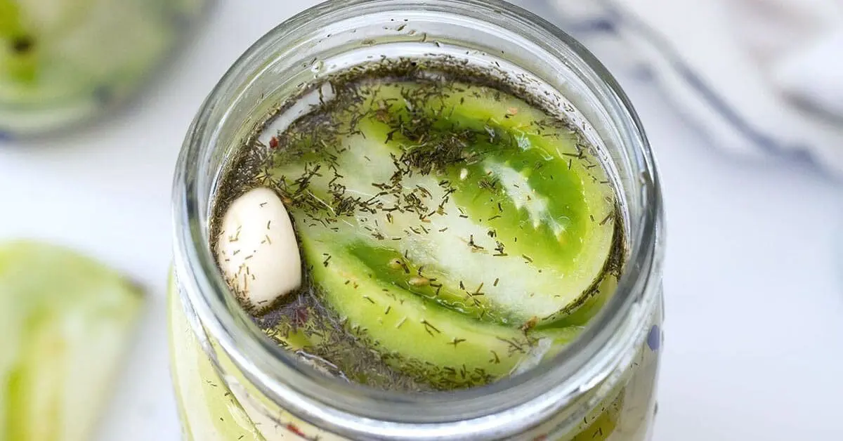 A glass jar filled with refrigerator pickled green tomato slices, fresh dill sprigs, and garlic cloves in a clear brine on a kitchen counter