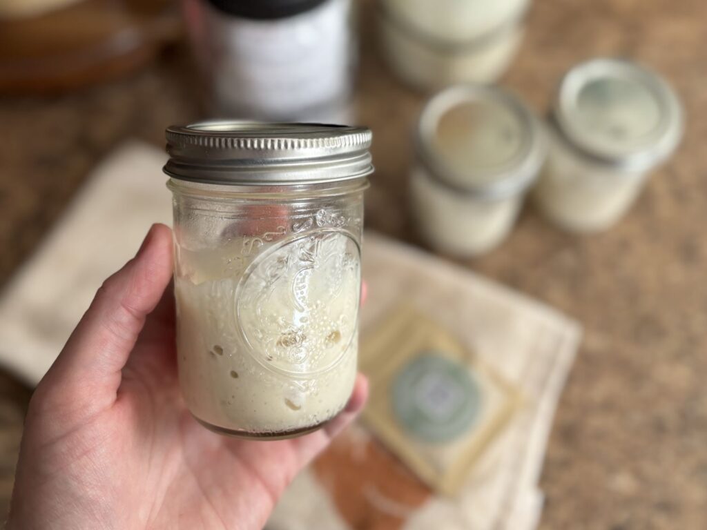 A glass jar of bubbly, active sourdough starter on a kitchen counter with small bubbles visible on the surface