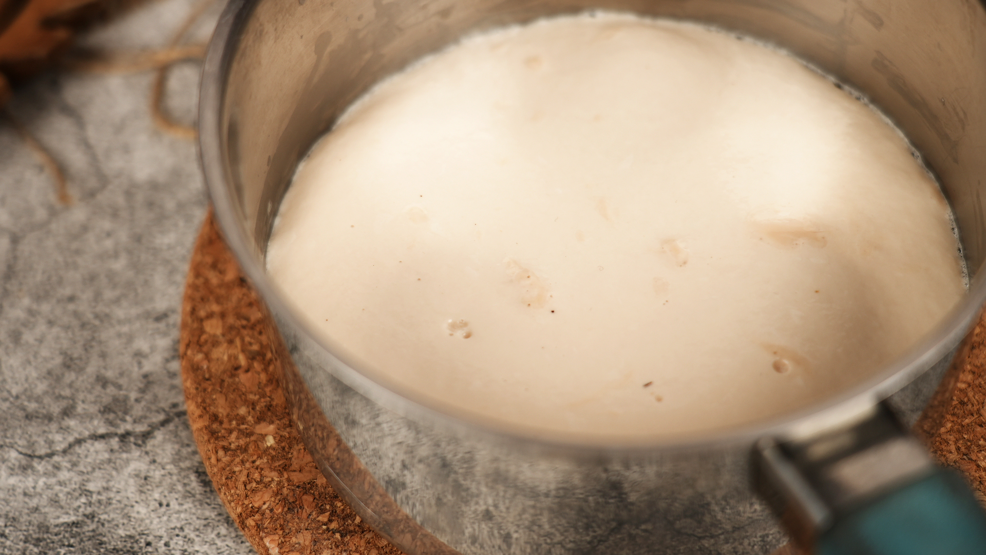 A glass mixing bowl with warm milk and yeast blooming into a foamy layer on a kitchen counter