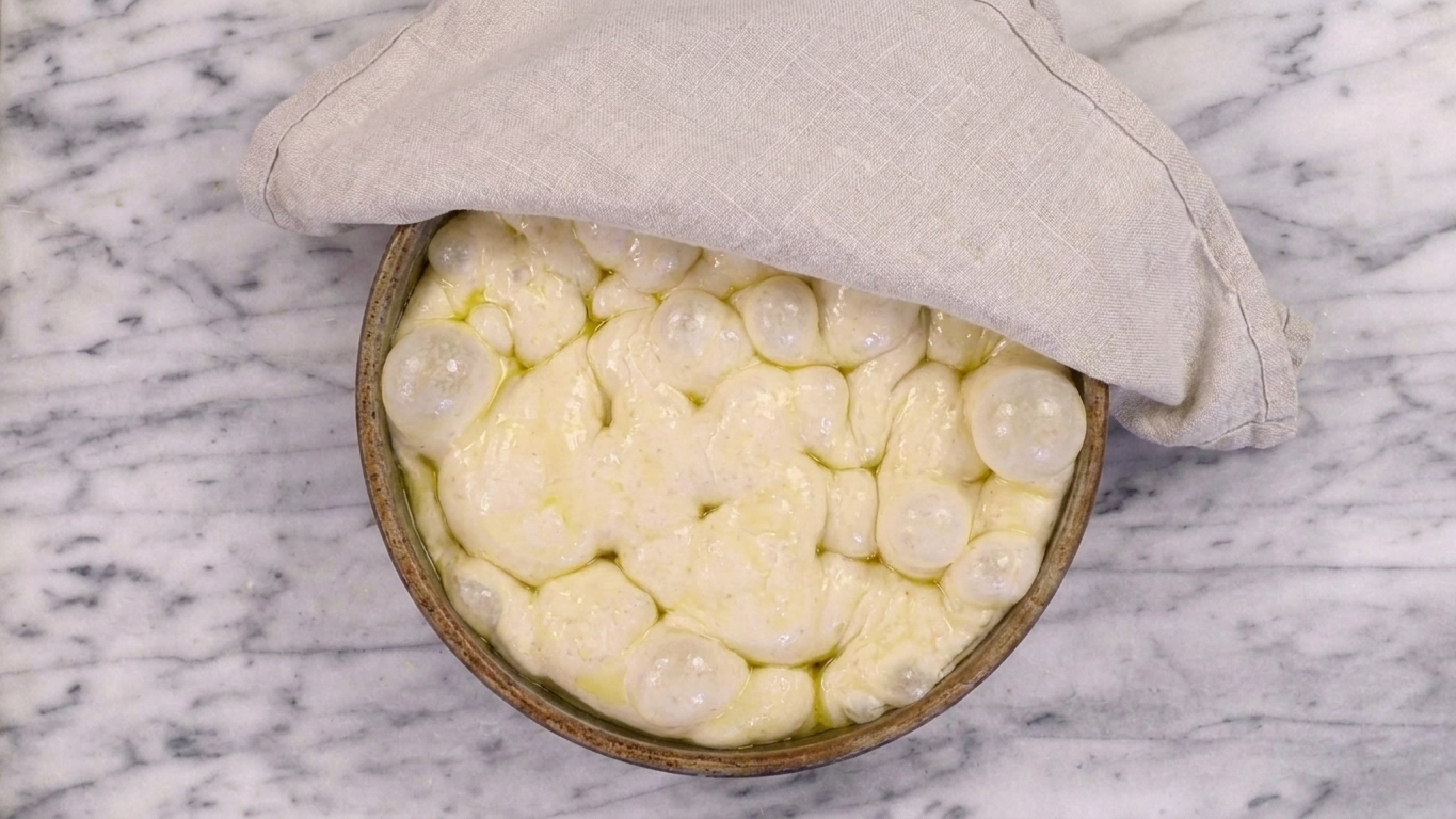 A large bowl of focaccia dough after rising, visibly doubled and bubbly, covered loosely with a towel on a kitchen counter