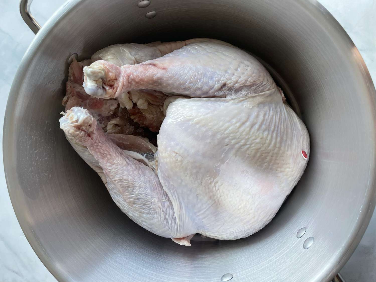 A large stockpot on a kitchen counter filled with brine, peppercorns, bay leaves, citrus slices, and herbs, with a raw turkey nearby ready to be submerged