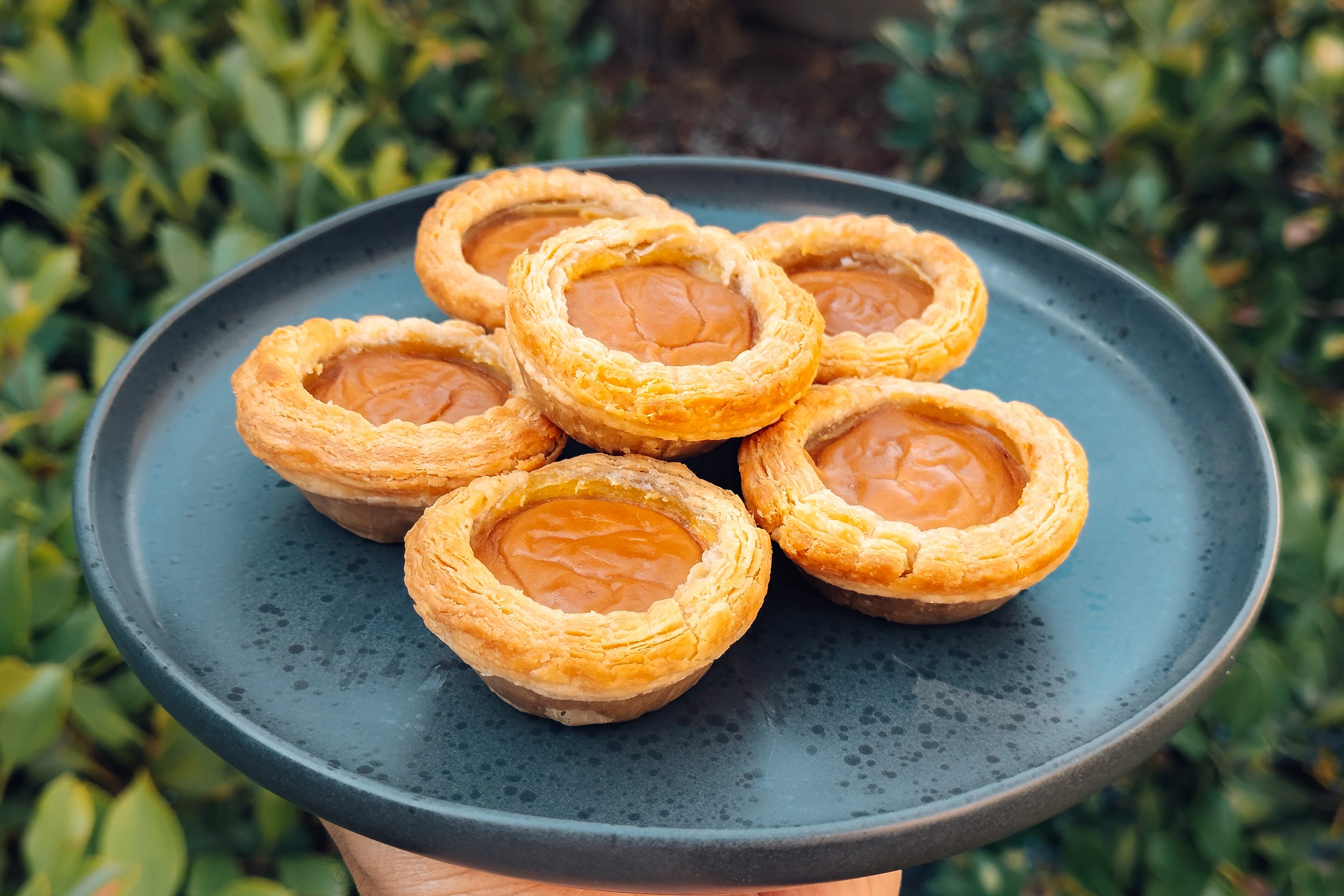 A plate of golden egg tarts with lightly blistered, caramelized freckles on top on a wooden kitchen table