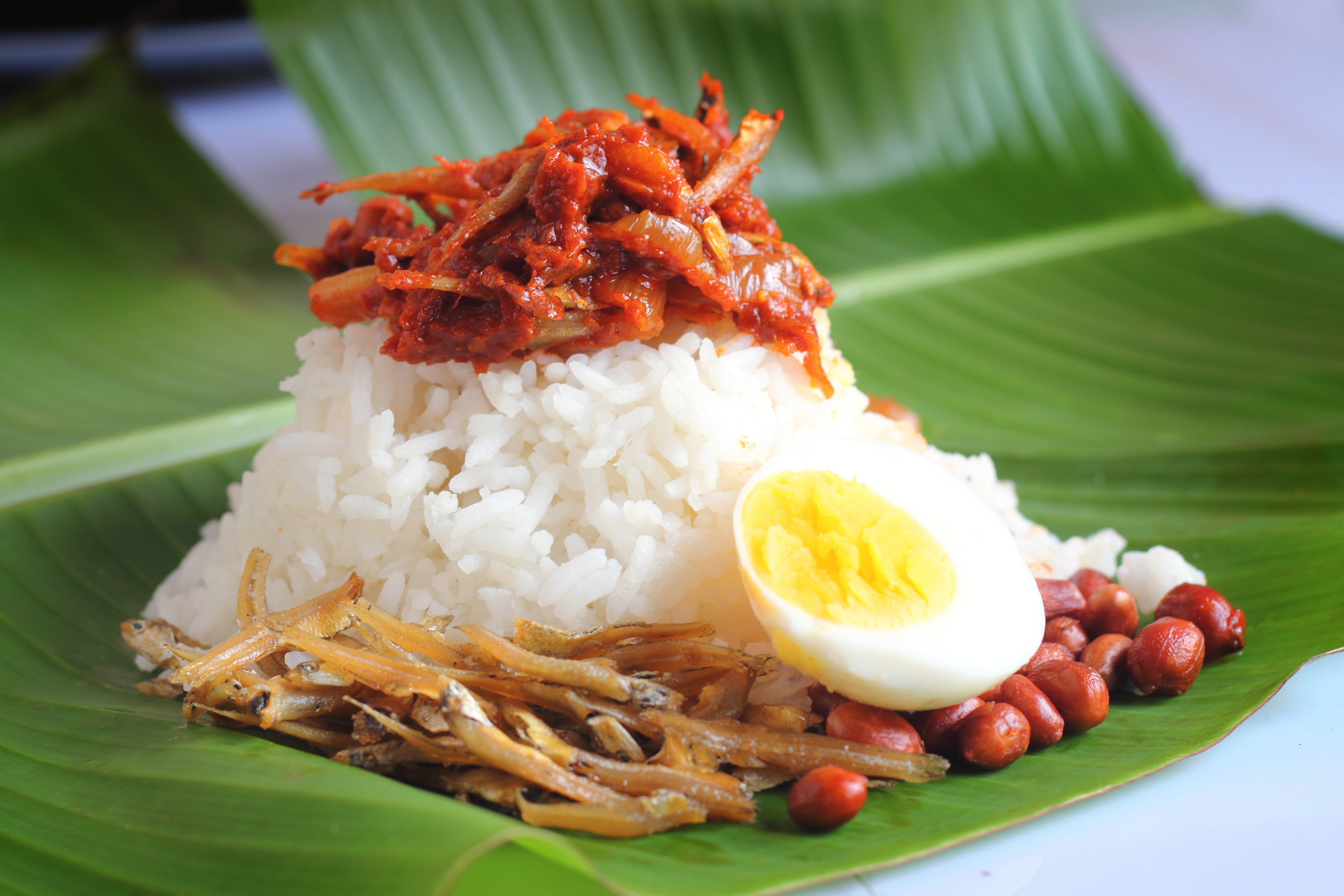 A plated nasi lemak with coconut rice, glossy sambal, sliced cucumber, hard-boiled egg, and roasted peanuts on a simple white plate on a warm kitchen table