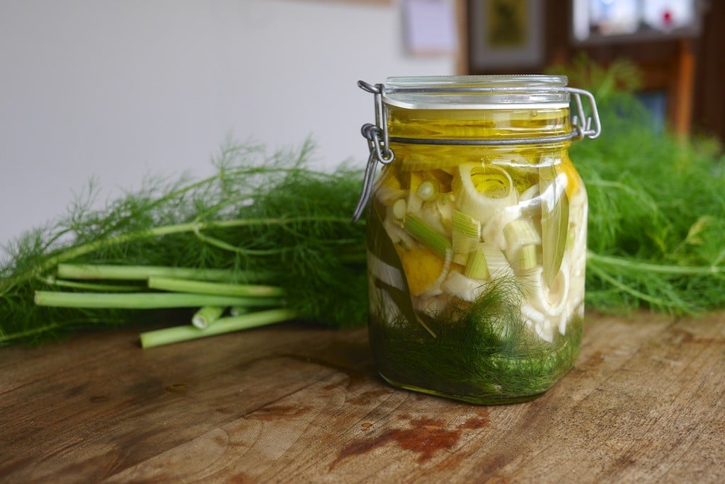 A sealed glass jar of pickled fennel sitting on a refrigerator shelf with other common condiments, natural kitchen lighting
