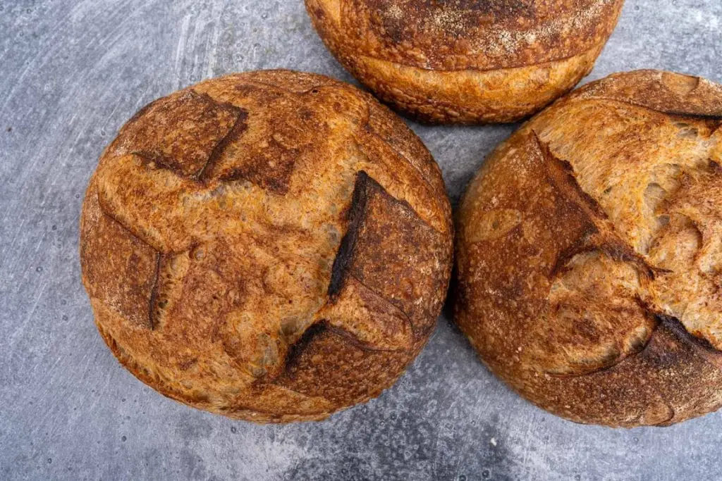 A single golden-brown sourdough boule with a bold score and crackly crust cooling on a wire rack on a bright kitchen counter