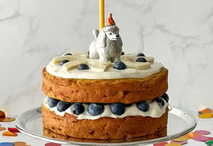 Dog Safe Birthday Cake