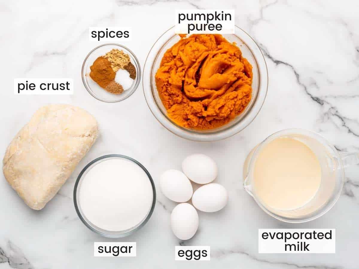 Canned pumpkin puree, eggs, evaporated milk, sugar, and pumpkin pie spice arranged on a tidy kitchen counter with warm natural light