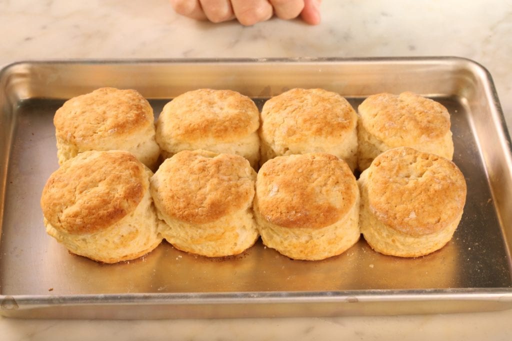 Golden biscuits baking on a sheet pan in a bright home kitchen oven with warm light