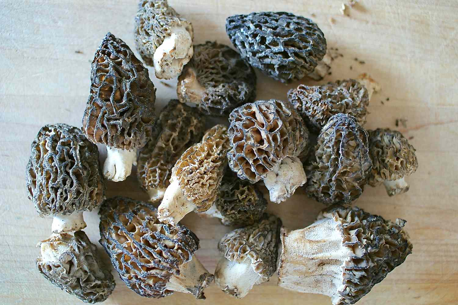 Halved morel mushrooms being swished briefly in a bowl of cold salted water on a kitchen counter with towels ready for drying
