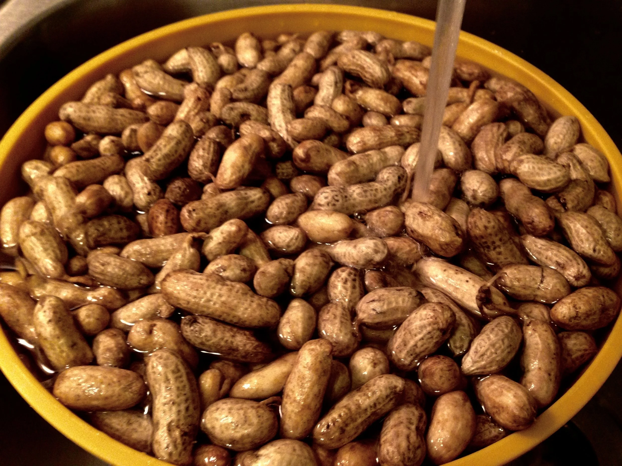 Kosher salt in a small bowl next to bay leaves and raw green peanuts on a kitchen counter, ingredients laid out for boiled peanuts
