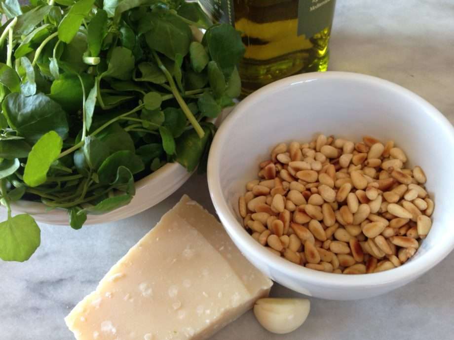 Measured ingredients for watercress pesto including watercress, toasted nuts, grated Parmesan, garlic, lemon, olive oil, salt, and pepper laid out on a clean kitchen counter
