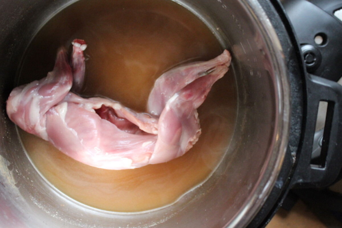 Squirrel pieces gently simmering in a pot with onion and garlic on a stovetop