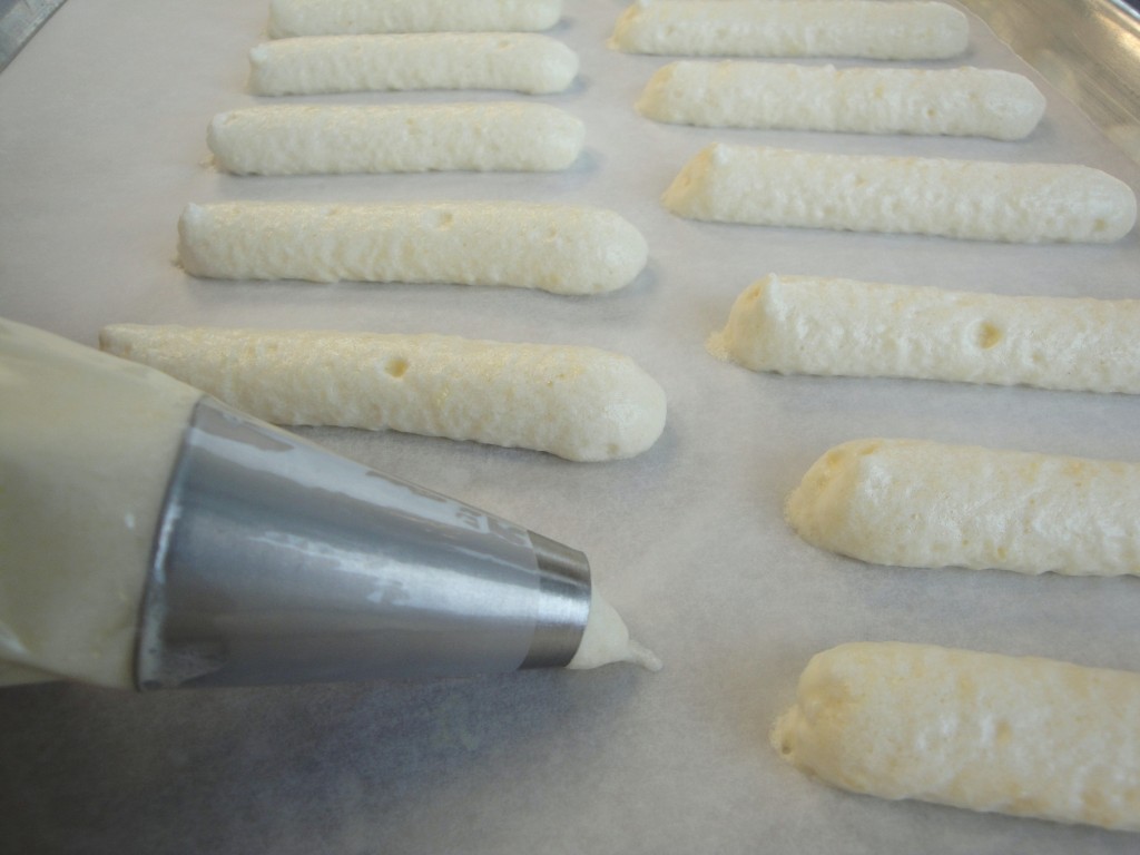 Unbaked ladyfinger batter piped into short logs on a parchment-lined baking sheet, evenly spaced on a home kitchen counter