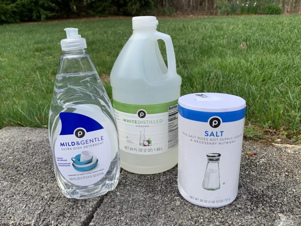 White vinegar bottle, a small bowl of salt, and a bottle of dish soap arranged on a kitchen counter with a clean empty spray bottle nearby